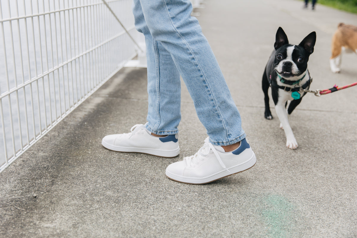 The Classic Sneaker