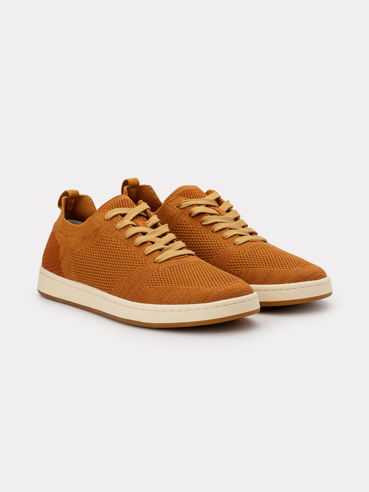 Maple