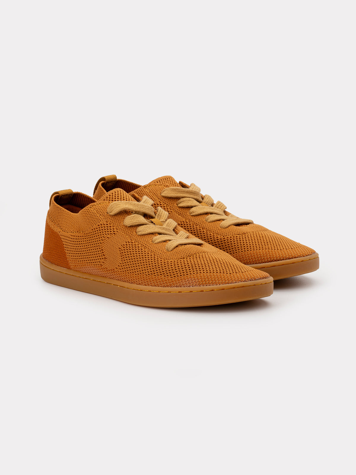 Maple