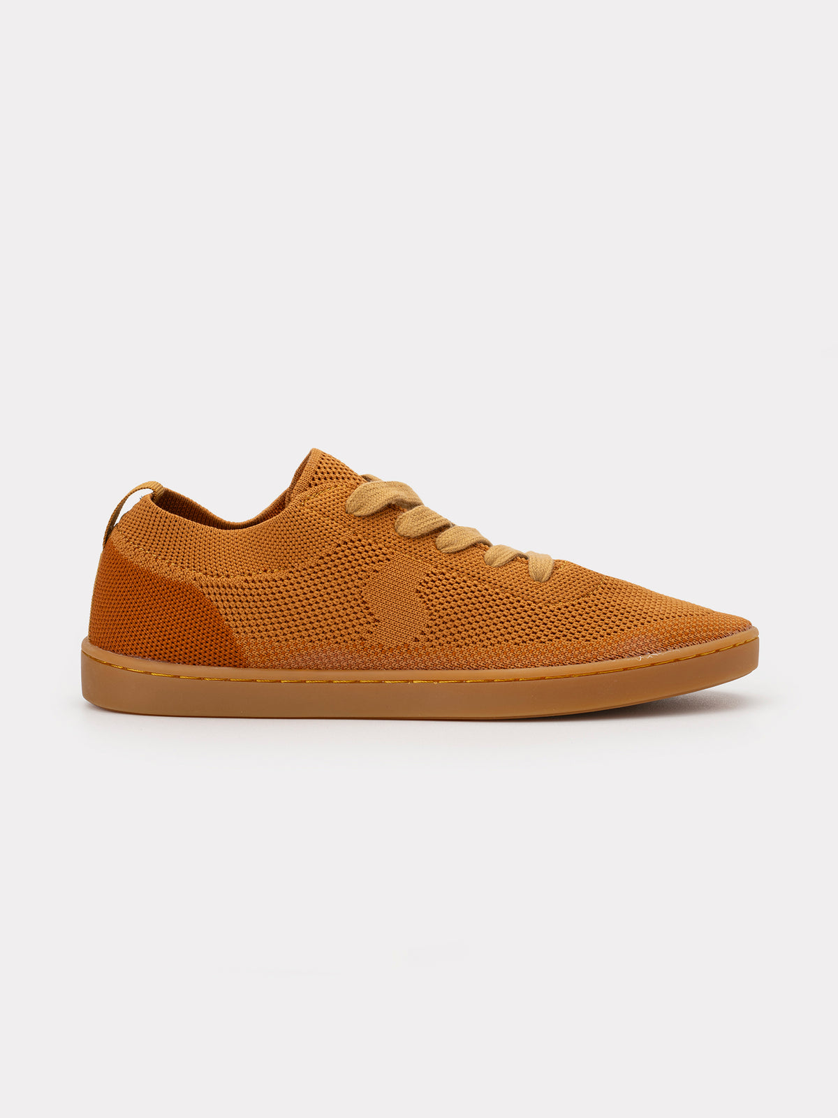 Maple